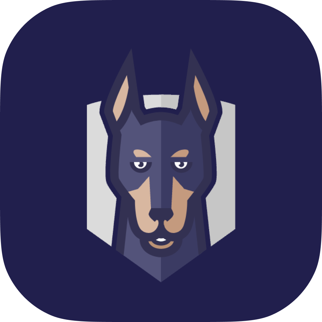 Snyk API & Web